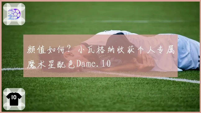 颜值如何？小瓦格纳收获个人专属魔术星配色Dame.10