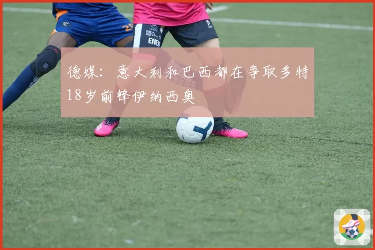 德媒：意大利和巴西都在争取多特18岁前锋伊纳西奥