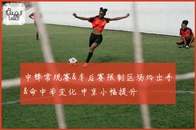 中锋常规赛&季后赛限制区场均出手&命中率变化 申京小幅提升