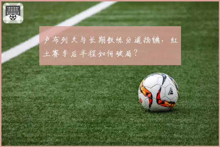 卢布列夫与长期教练分道扬镳,红土赛季后半程如何破局?